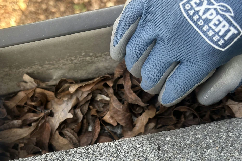 Gutter Cleaning Saluda