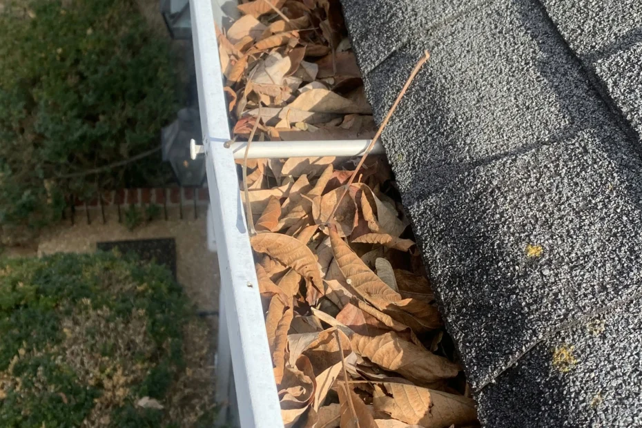 Gutter Cleaning Saluda