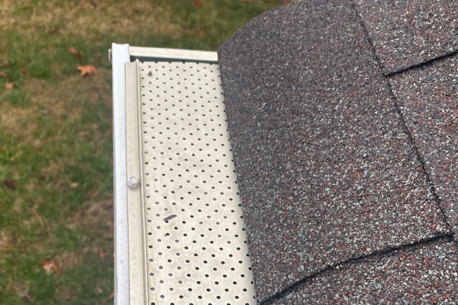 Gutter Cleaning Saluda