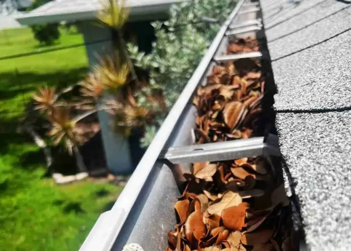 Gutter Cleaning Saluda home page